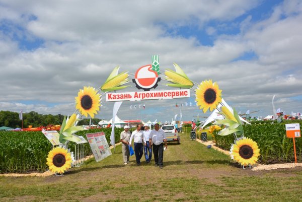 Фотозона день поля