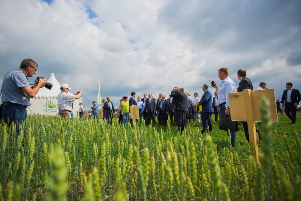 Праздник день поля