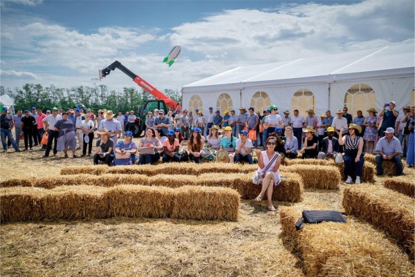 День поля ФОСАГРО 2019