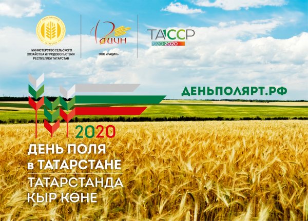 День Татарстана 2020