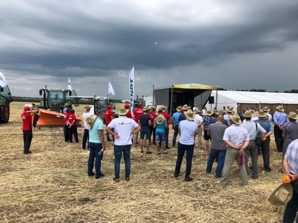 День поля 2019