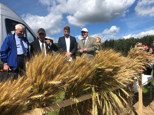 Сельское хозяйство России