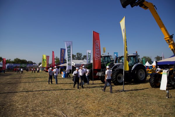 День Донского поля 2020