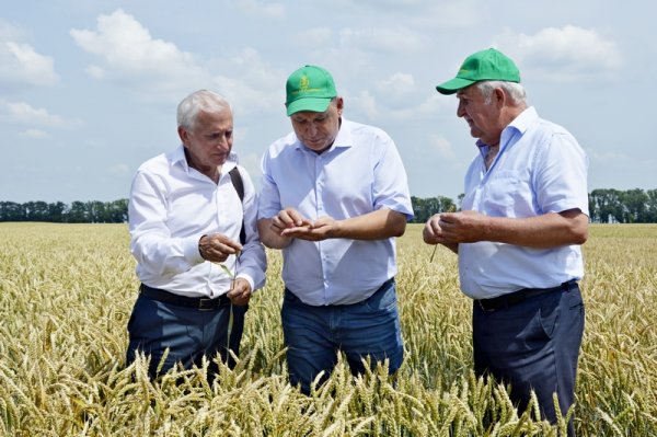 НПХ Кореновское