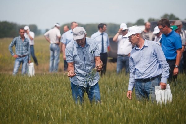 Поля Кузбасса