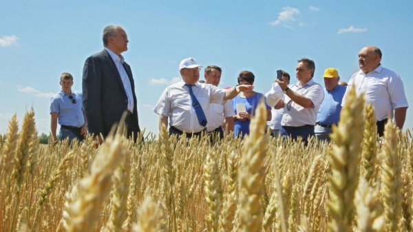 Сельское хозяйство Крыма Крыма