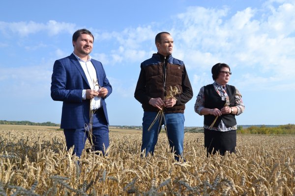 Урожай в Чувашии