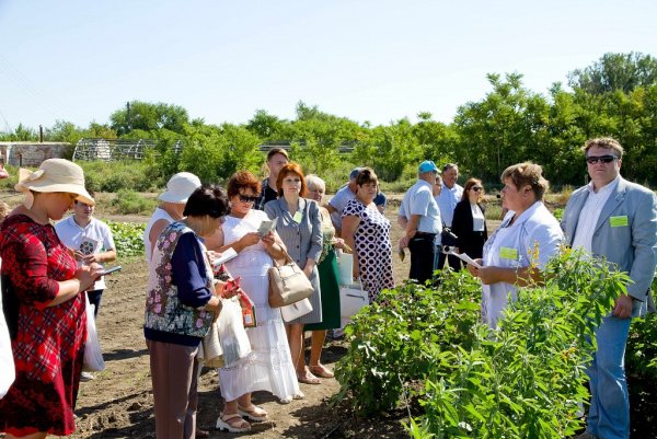 Поля Астраханская область