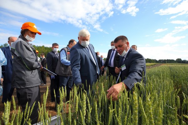 День поля 2020 Томск