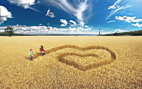 Сердце на поле