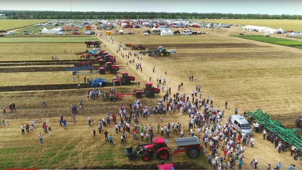 День поля Зерноград