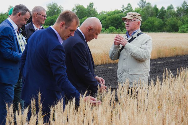 Омский день поля