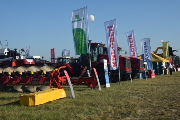 День поля инсталляция