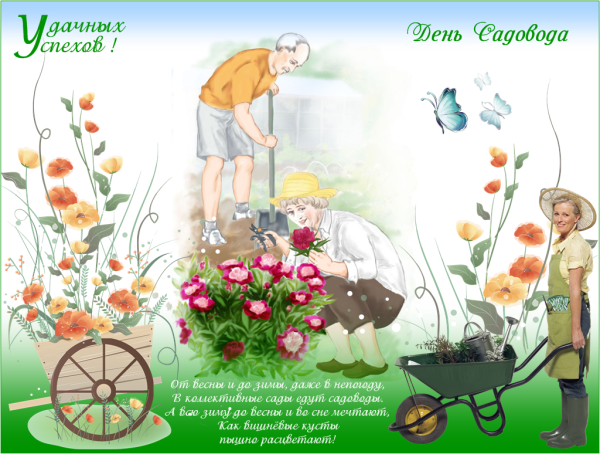 С днем дачника поздравления