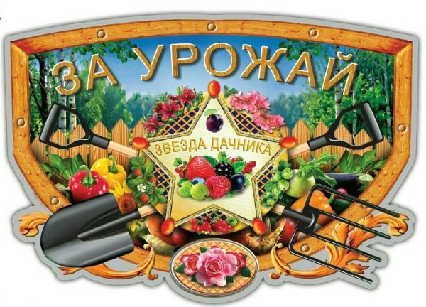 День дачника