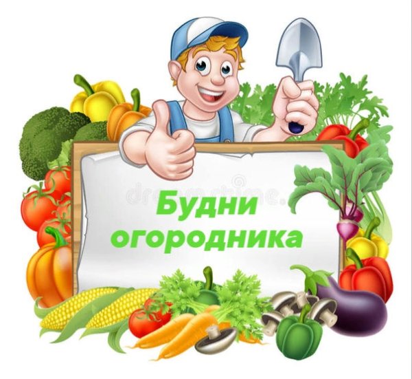 День огородника для детей