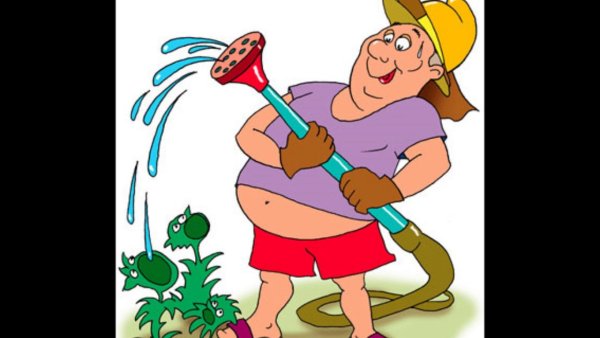 Дачник карикатура