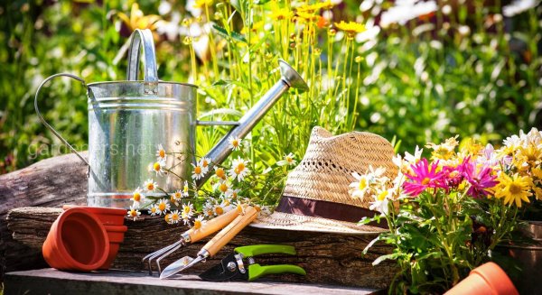 Садоводы и огородники