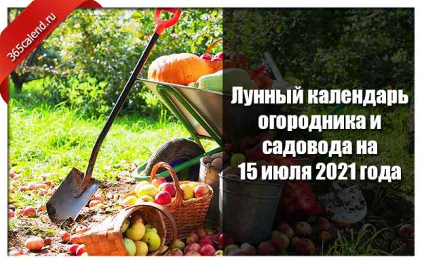 Лунный календарь 2021 садовода и огородника