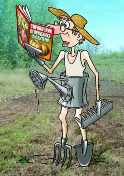 Дачник карикатура