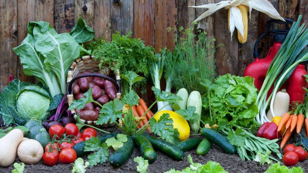 Овощи на огороде