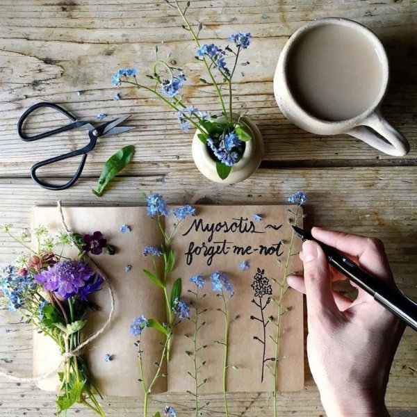 Вдохновение творчество