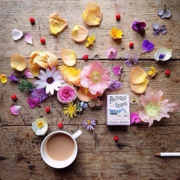 Творческого яркого утра