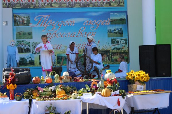 День района фото