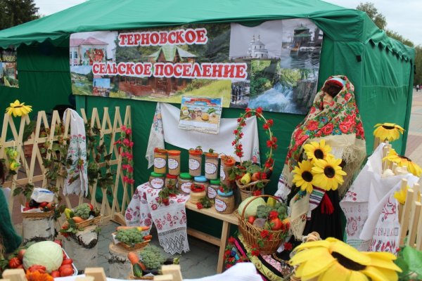 День Гатчинского района