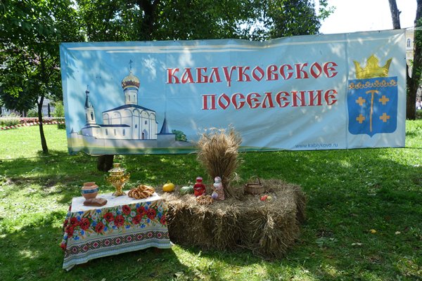 Чамзинский район