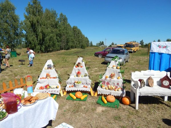 День города в Красном Холме Тверская область