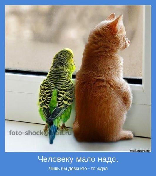 Мотиватор для поднятия настроения