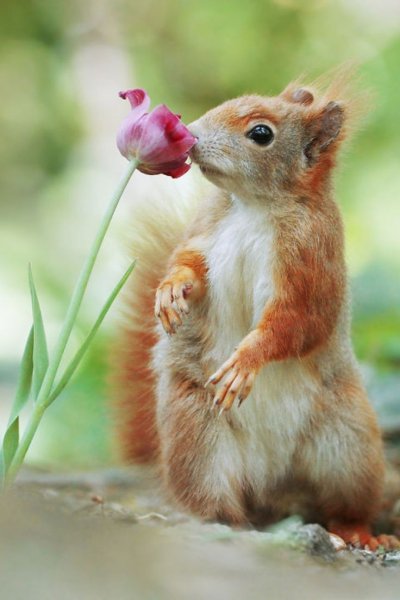 Позитивные цитаты