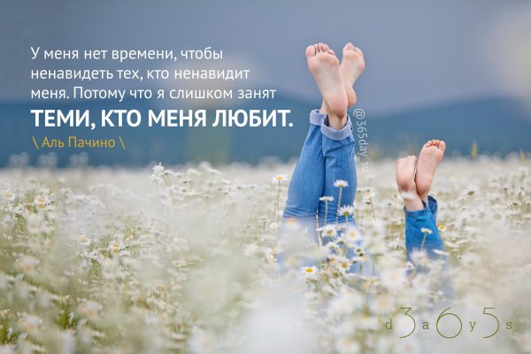 Радость жизни цитаты