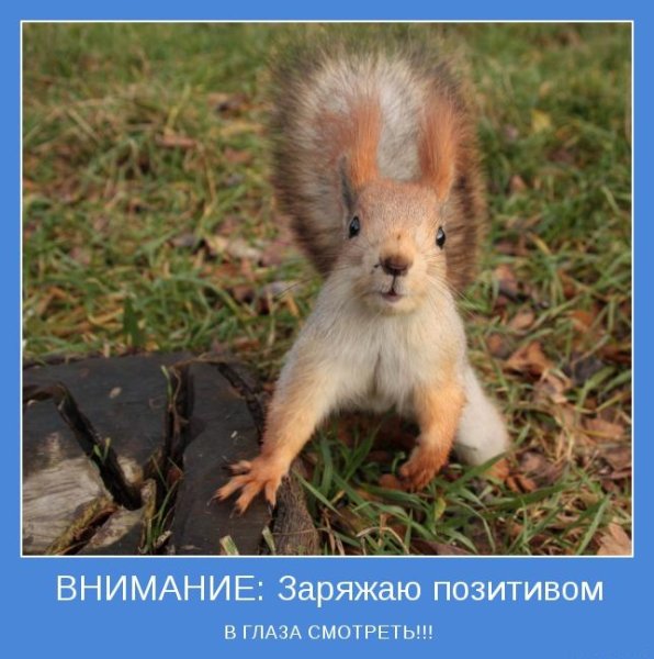 Позитивные мотиваторы для поднятия настроения