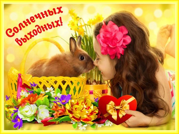 Солнечных выходных