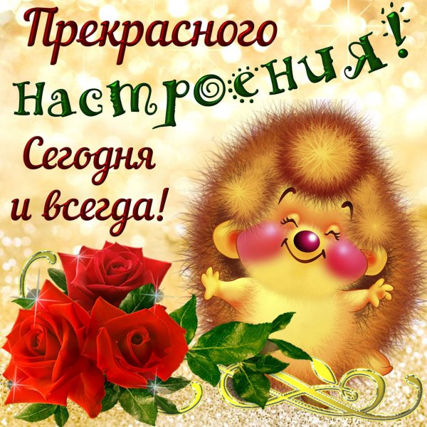 Открытки с добрым днём