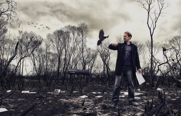 Странный день сегодня