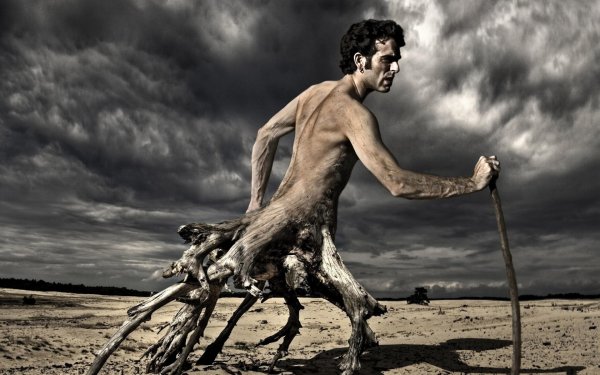 Ожившие предметы Терри Бордера