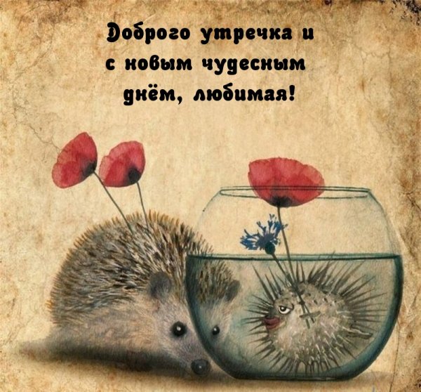 Осенний зонтик