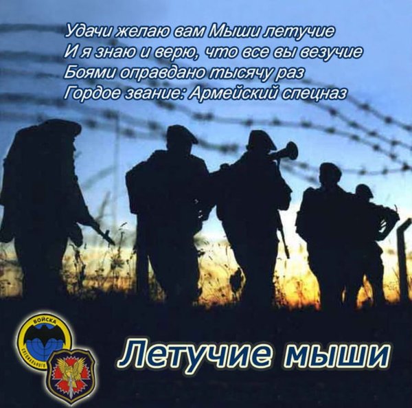 День военогоразведчика