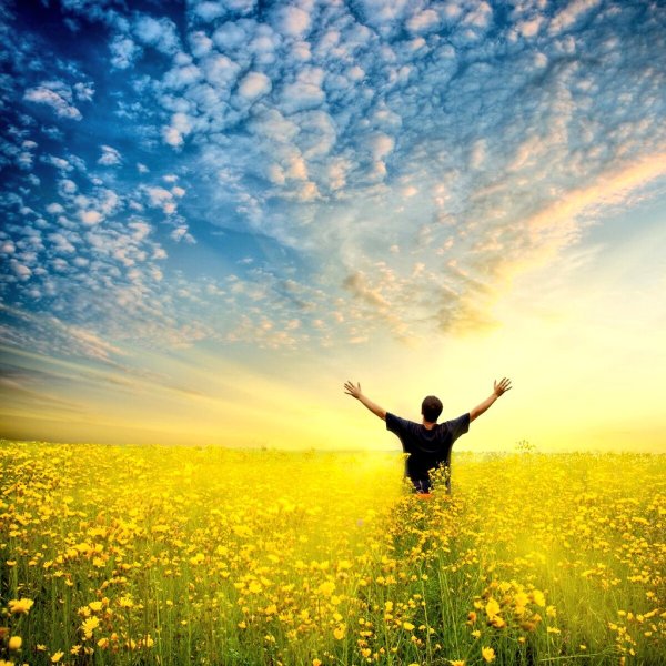 Солнце радость