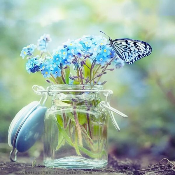 Красота в мелочах