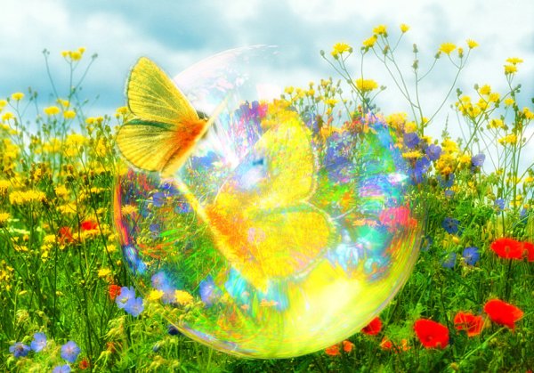 Здоровье бесценный дар природы