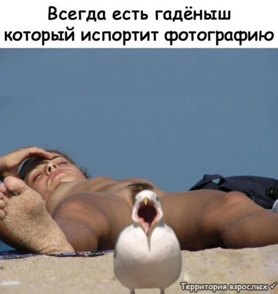 Всегда есть гаденыш который испортит фотографию