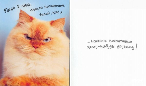 Открытки плохое настроение