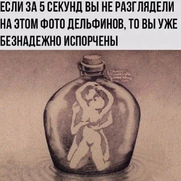 Если вы не видите дельфинов