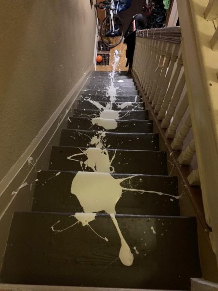 Корова на лестнице