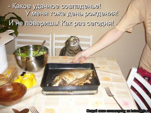 Приколы сегодняшнего дня