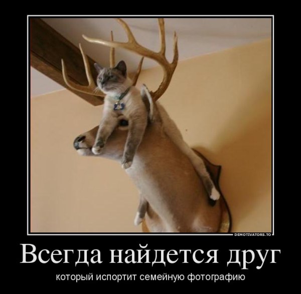 Всегда найдется человек который испортит фотографию